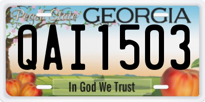 GA license plate QAI1503
