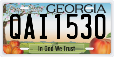 GA license plate QAI1530