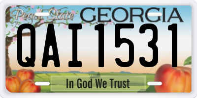 GA license plate QAI1531
