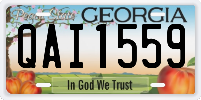 GA license plate QAI1559