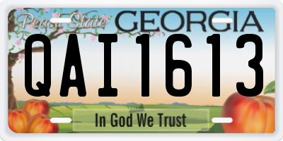 GA license plate QAI1613