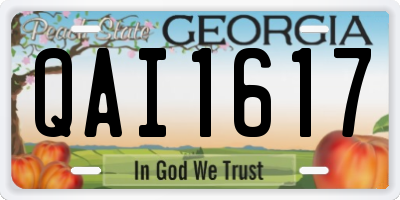GA license plate QAI1617