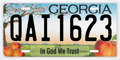 GA license plate QAI1623