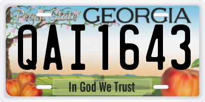 GA license plate QAI1643