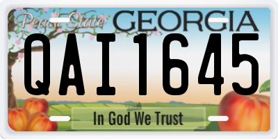 GA license plate QAI1645