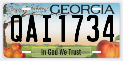 GA license plate QAI1734