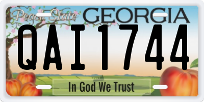 GA license plate QAI1744