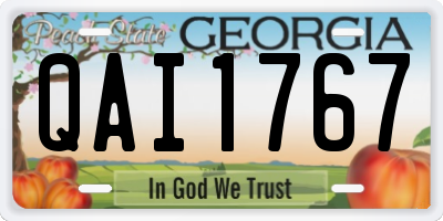 GA license plate QAI1767