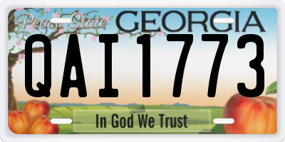 GA license plate QAI1773