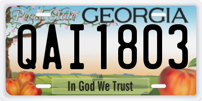 GA license plate QAI1803