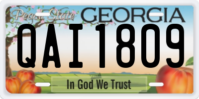 GA license plate QAI1809