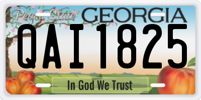 GA license plate QAI1825