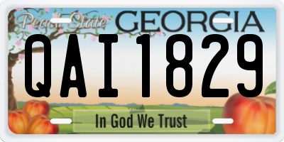 GA license plate QAI1829