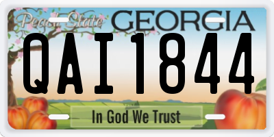 GA license plate QAI1844