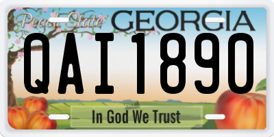 GA license plate QAI1890
