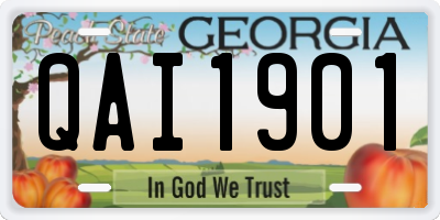 GA license plate QAI1901