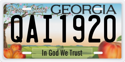 GA license plate QAI1920