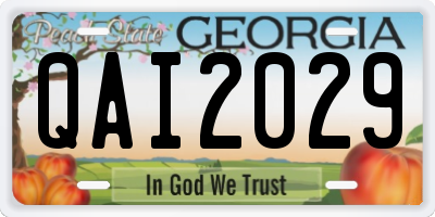 GA license plate QAI2029