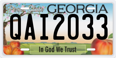 GA license plate QAI2033