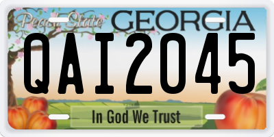 GA license plate QAI2045