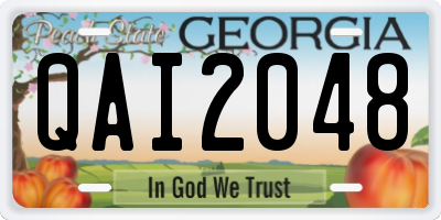 GA license plate QAI2048