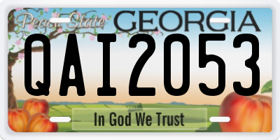 GA license plate QAI2053