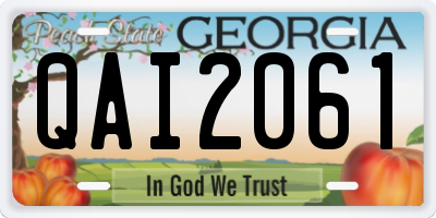 GA license plate QAI2061