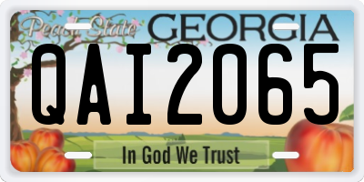 GA license plate QAI2065