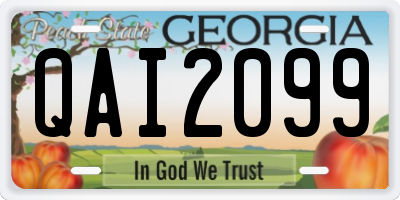 GA license plate QAI2099