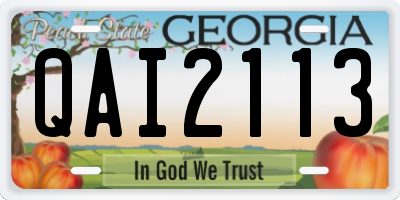 GA license plate QAI2113