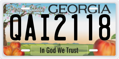 GA license plate QAI2118