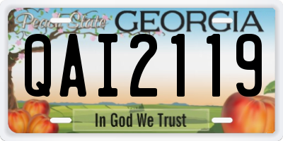 GA license plate QAI2119