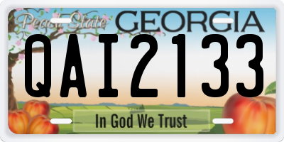 GA license plate QAI2133