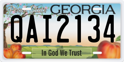 GA license plate QAI2134