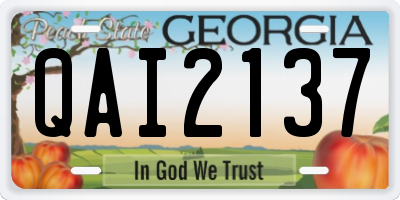 GA license plate QAI2137