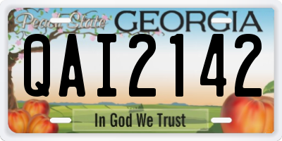 GA license plate QAI2142