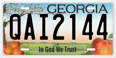 GA license plate QAI2144