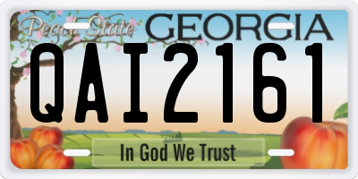GA license plate QAI2161