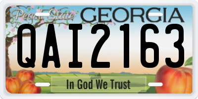 GA license plate QAI2163