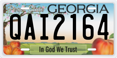 GA license plate QAI2164
