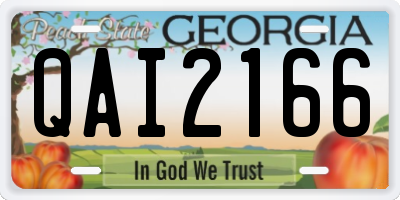 GA license plate QAI2166