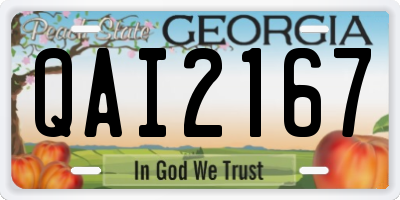 GA license plate QAI2167