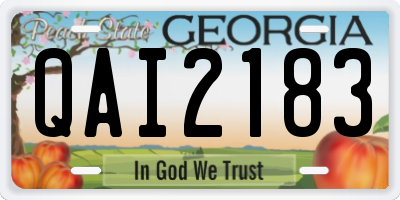 GA license plate QAI2183