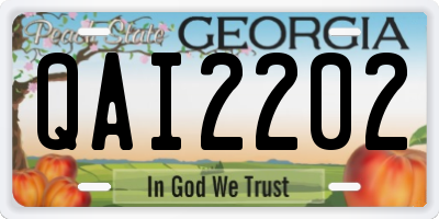 GA license plate QAI2202