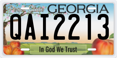 GA license plate QAI2213