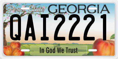 GA license plate QAI2221