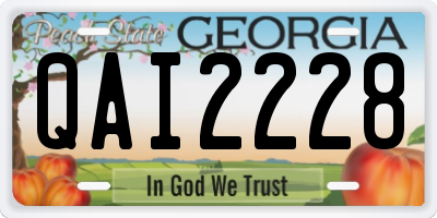 GA license plate QAI2228