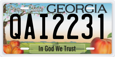 GA license plate QAI2231