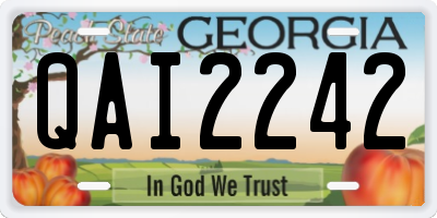 GA license plate QAI2242
