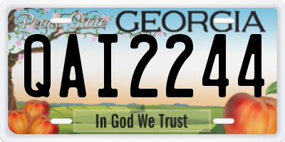 GA license plate QAI2244